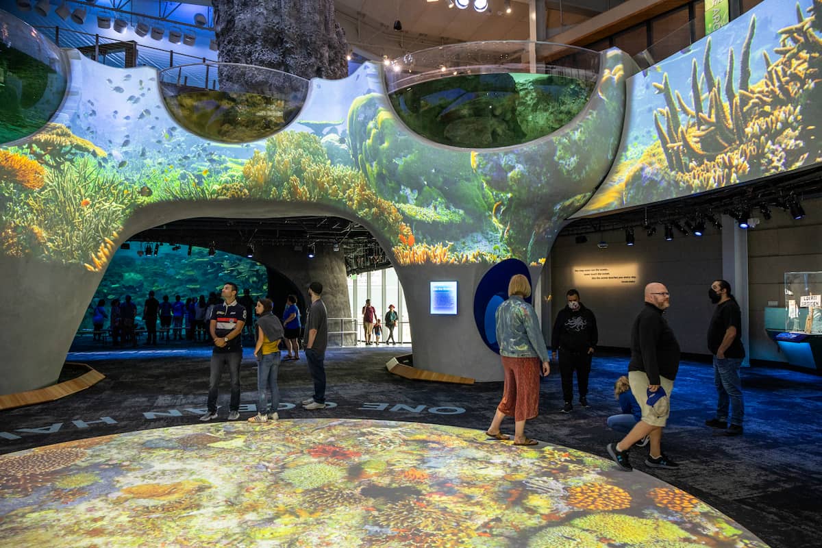 A 360-degree video of a coral reef projected onto the walls of the Ocean Pavilion's One Ocean Hall. Several people are milling about underneath.