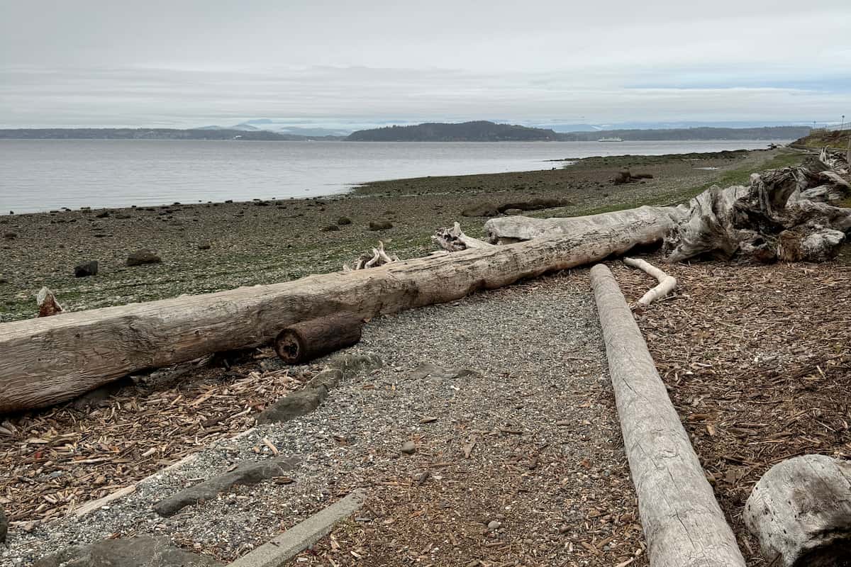 At the bottom of the ramp at the main park entrance, there are a few logs that you must climb over to access the beach.