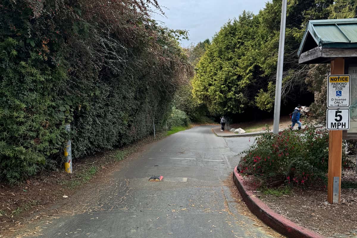 Road down to accessible parking spaces at the beach.