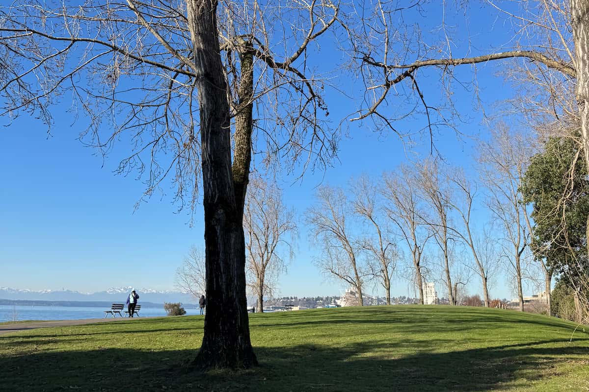 Large grassy area next to the beach where students can enjoy views of the Salish Sea.