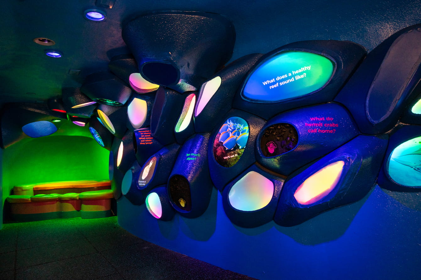 The brightly colored children's crawlspace in Ocean Pavilion.