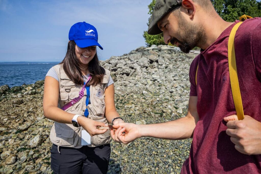 A Seattle Aquarium volunteer and a community member looking at a small tide pool resident on the beach.