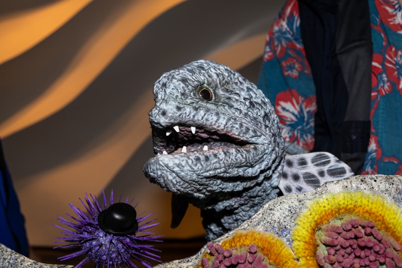 A wolf eel puppet and a sea urchin puppet.
