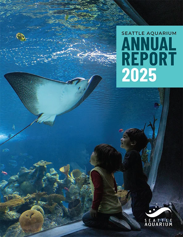 Cover image of the Seattle Aquarium's 2025 Annual report featuring a photo of two children looking at a spotted eagle ray swimming in a large ocean habitat located within the Seattle Aquarium's Ocean Pavilion.