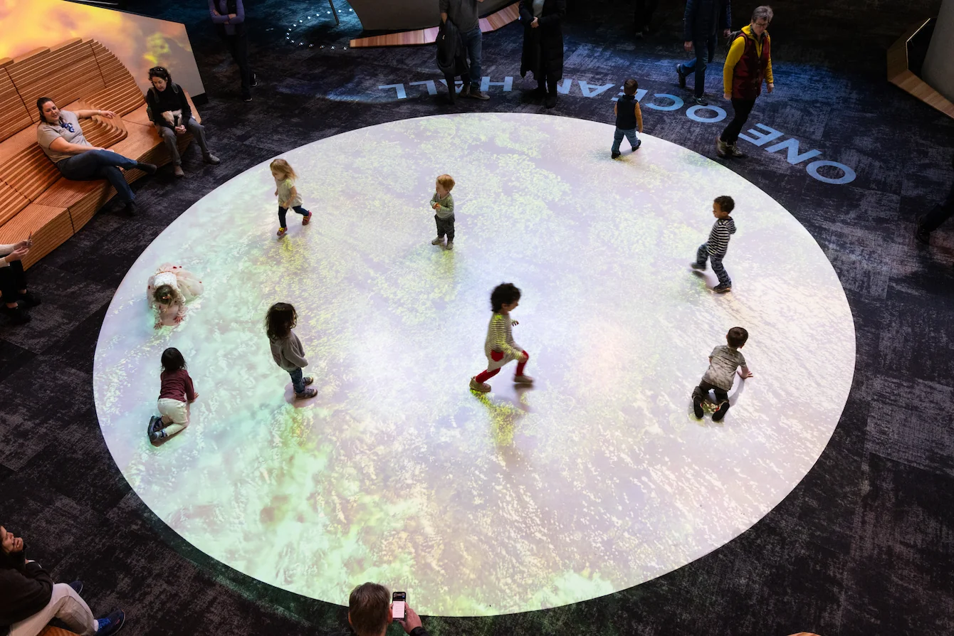Young children running and playing on a projection screen on the floor of the Seattle Aquarium's Ocean Pavilion.