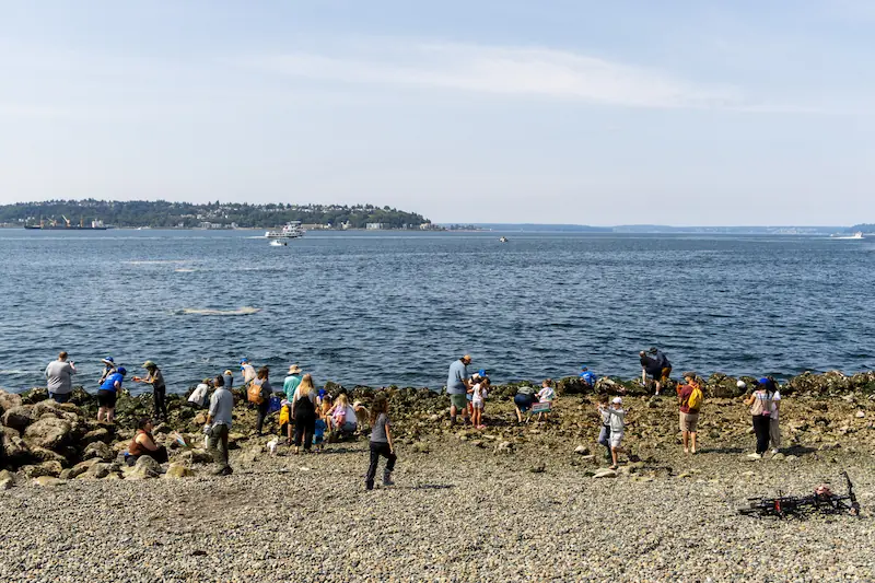 People on a rocky beach during a sunny day in Seattle.