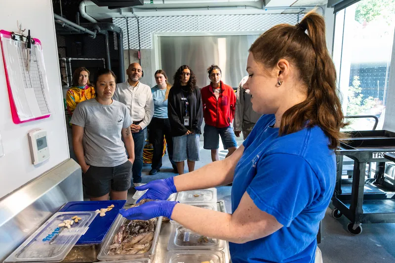 A group of guests attending a behind the scenes tour at the Seattle Aquarium watches as an Aquarium staff member holds squid and presents other foods, which are fed to the animals cared for by the Aquarium, while in a kitchen area behind the scenes.